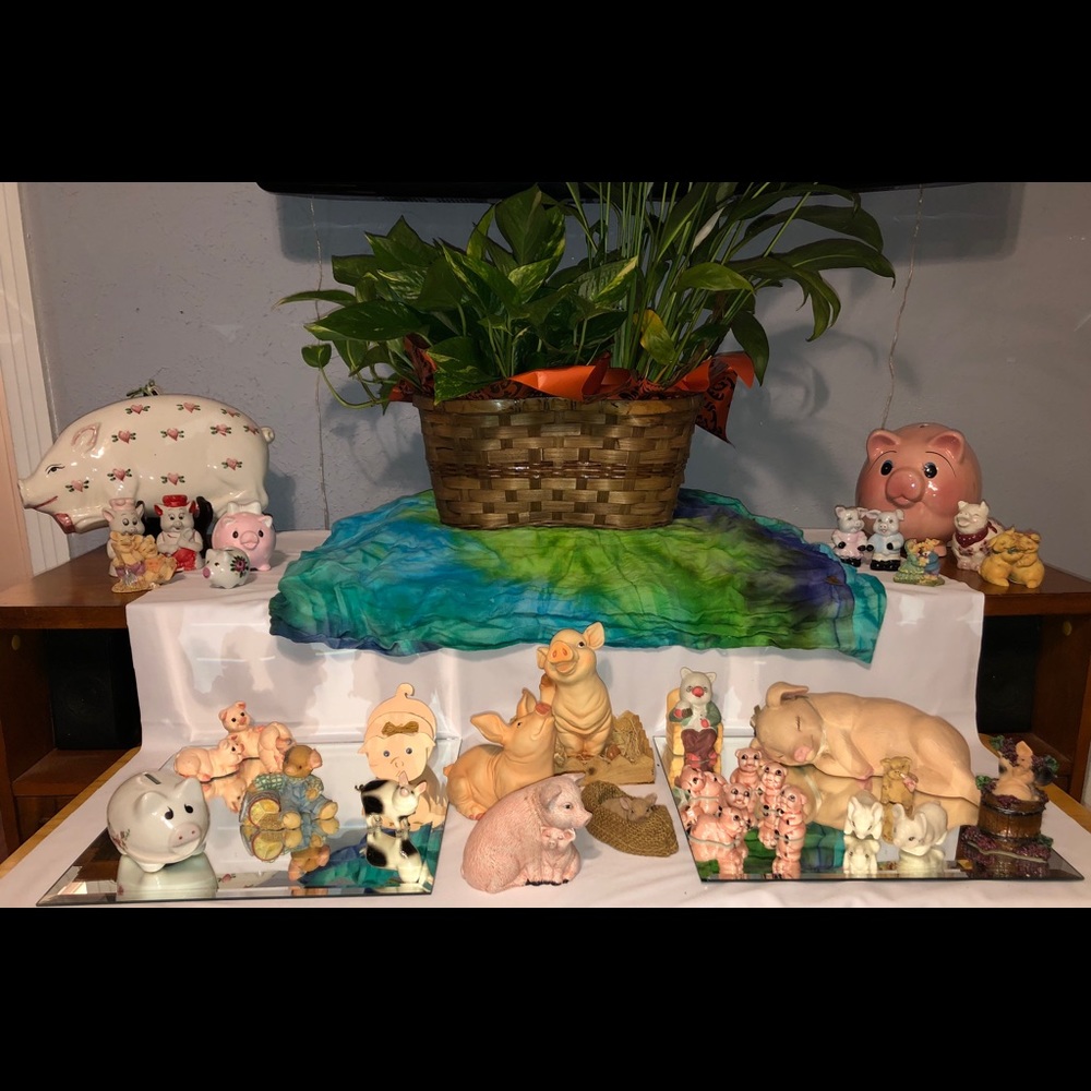 Pig Collection